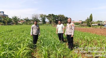 ‎Desa Pasir Jaya Maju Pesat di Bawah Kepemimpinan Kades Muhidin, S.Pd: Wujudkan Ketahanan Pangan, Bedah Rumah, hingga Layanan Kesehatan